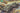 Uni Model 1/72 Uni Model Retriever on T-34 basis with SPG SU-76