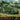 Uni Model 1/48 Uni Model Armored Vehicle BA-10