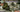 Uni Model 1/72 Uni Model 45mm Antitank gun 19-K (1932) and 76mm Regimental gun OB-25 (1943)
