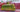 Uni Model 1/72 Uni Model Armored car-carrier (DTR)